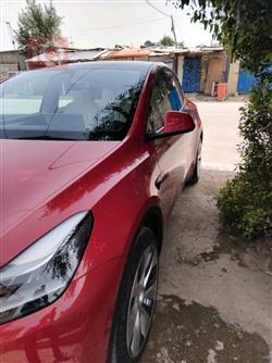 تسلا موديل Y